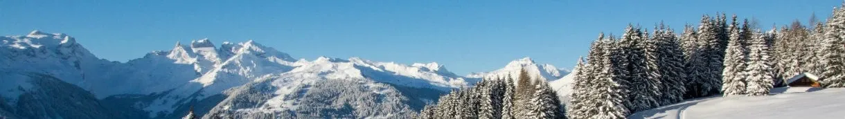 Ski Montagne