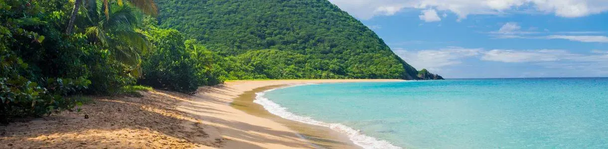 guadeloupe plage grande anse