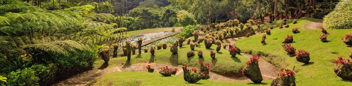 martinique jardin balata