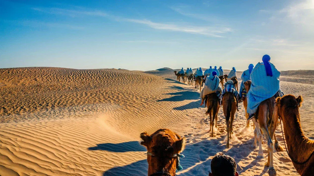 Tunisie désert