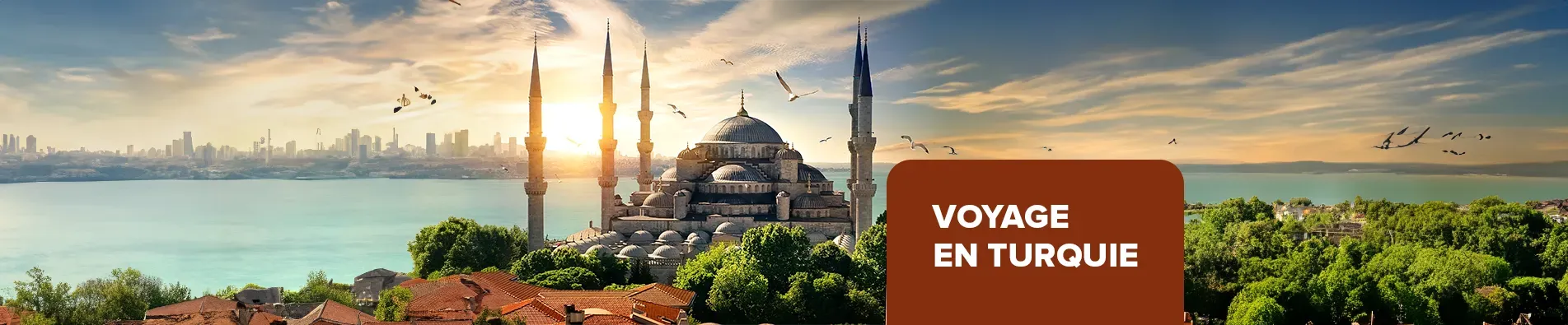 Voyage en Turquie