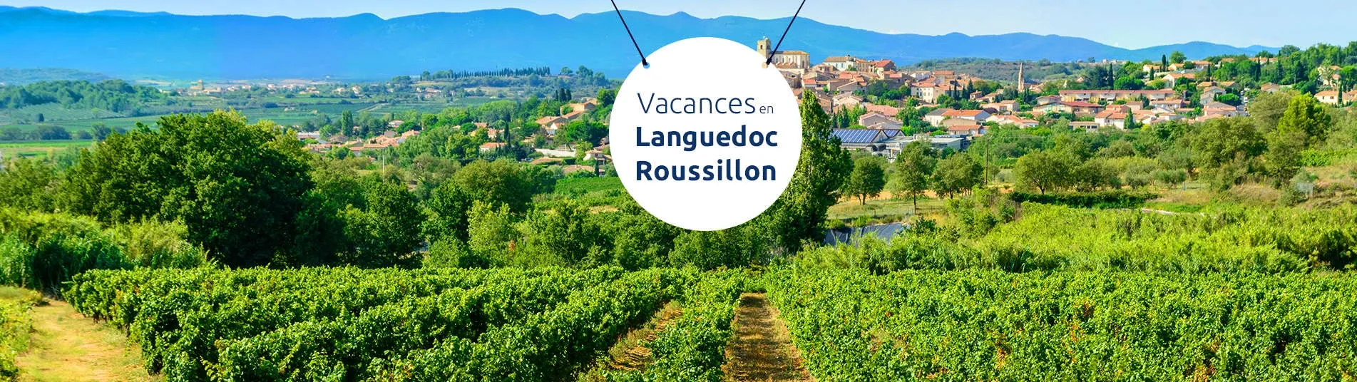Cover languedoc