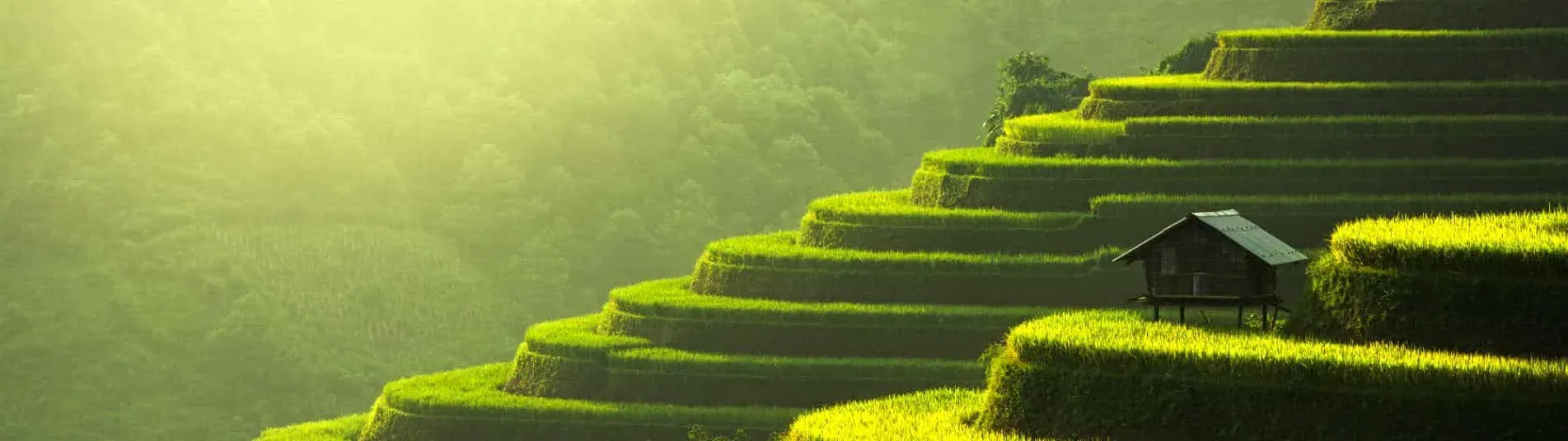 Cover Vietnam