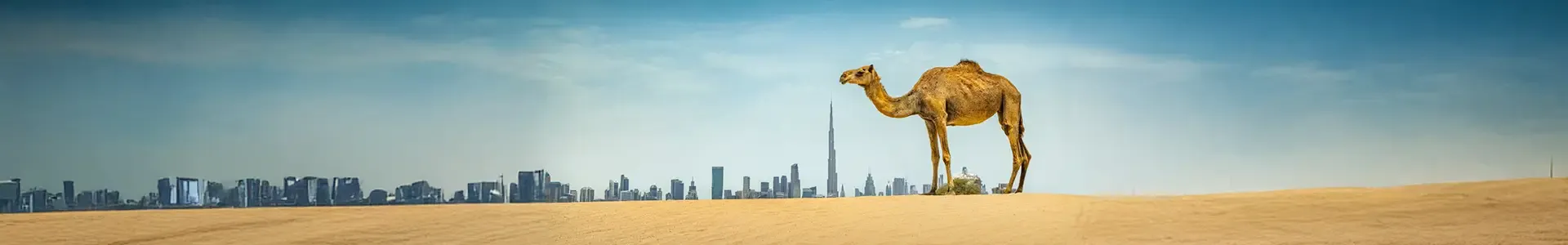 Régie Dubaï