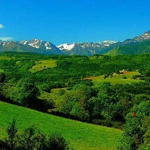 verte