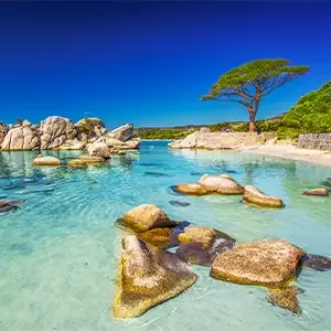 Corse