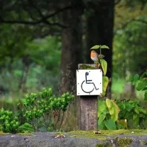 handicap