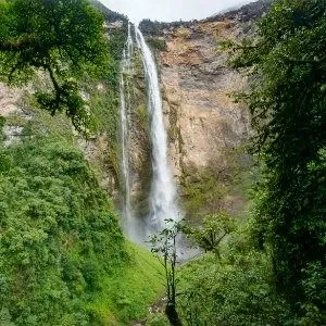 Chut à pérou