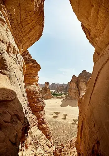 Partir en Arabie Saoudite