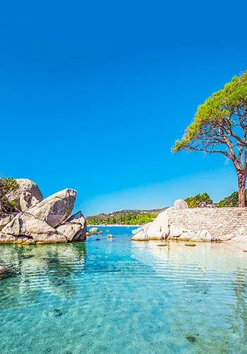 Corse