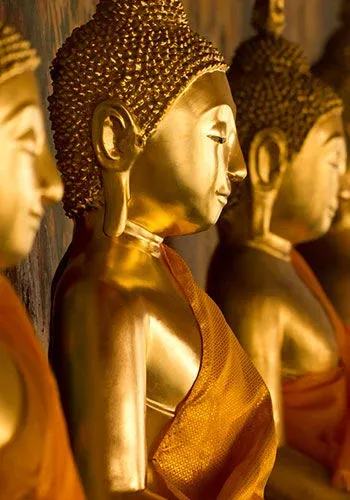 350x500_thailande