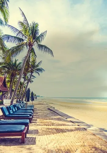 Thematique plage tropicale