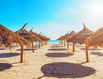 Voyage en Tunisie