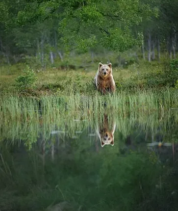 ours