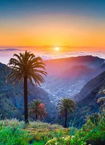363x500_canaries_paysages_tropiicaux_vallees_palmiers_1