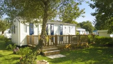 mobilhome arbre