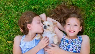 twins chien