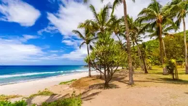 Plage de Grande Anse Reunion