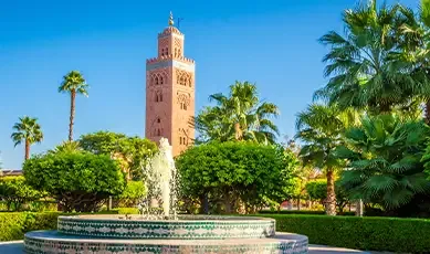 Hotel Marrakech 3