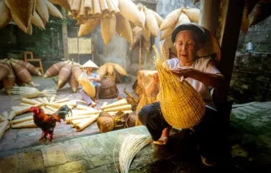 Vietnam femme