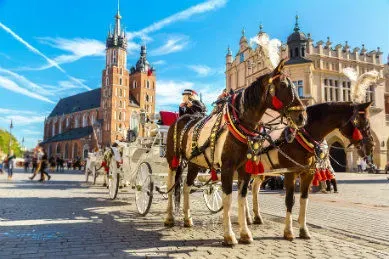 Pologne Cracovie centre ville