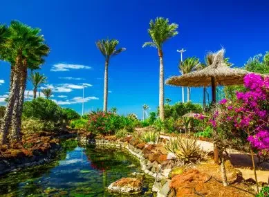 Jardin tropical sur l'île de Fuerteventura