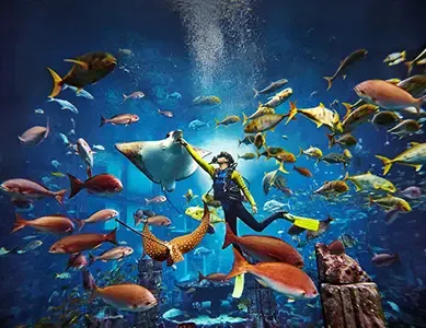 Dubaï Large Atlantis Ambassador Lagoon