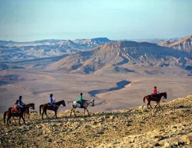 Israël neguev