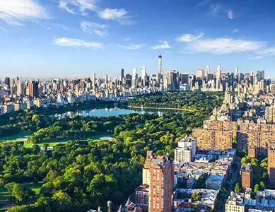 Hotel New York 5