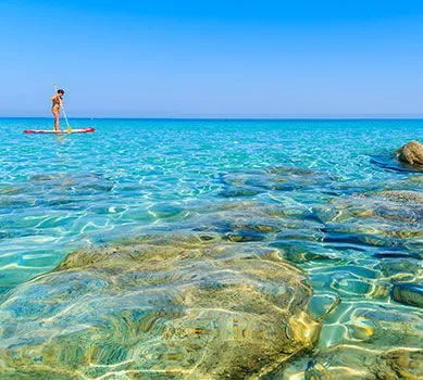 Corse bodri