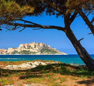 corse calvi