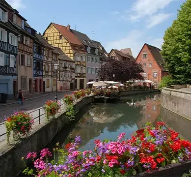 Hotel Alsace 3