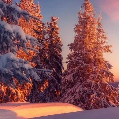 janvier neige