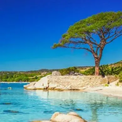 juillet corse