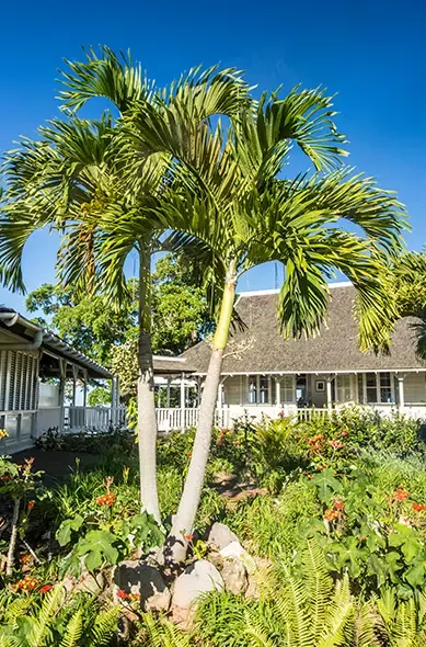 Jardin d'un hôtel à Kingston