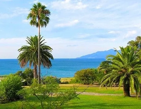 bastia
