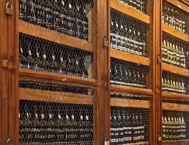 Le vin de Madère