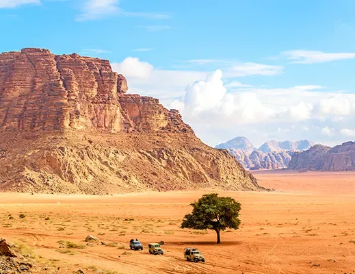 Jordanie Safari