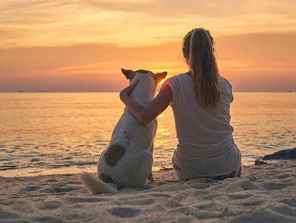Vacances à la plage avec votre chien