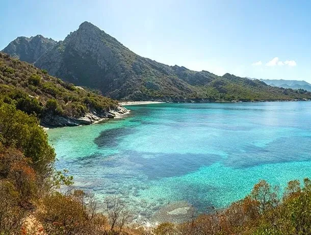 corse_