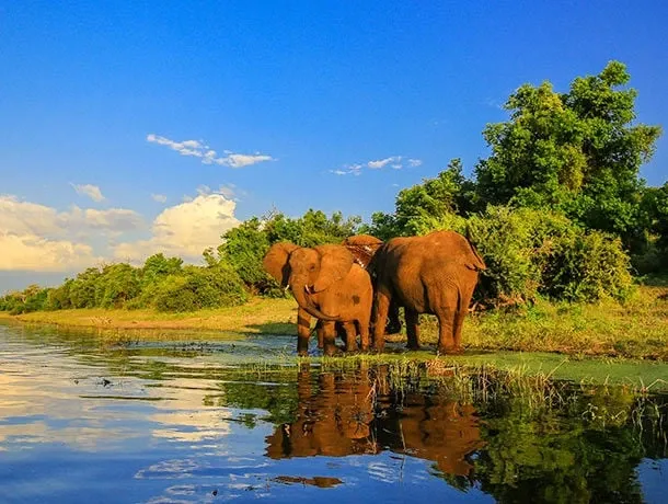 Afrique du Sud
