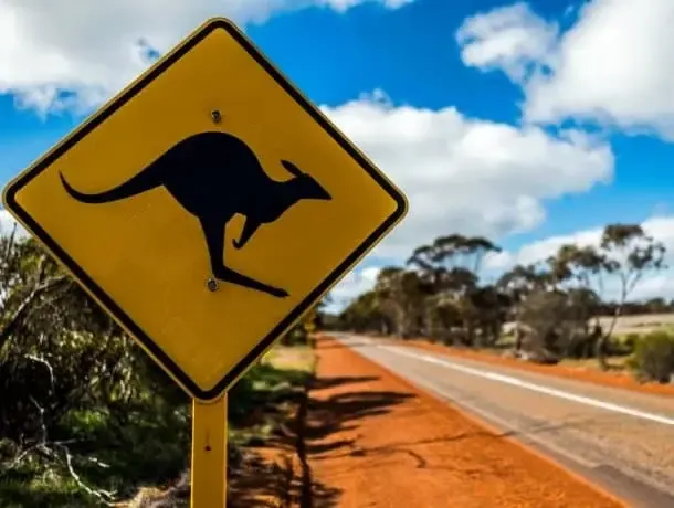 Panneau Kangourou en Australie