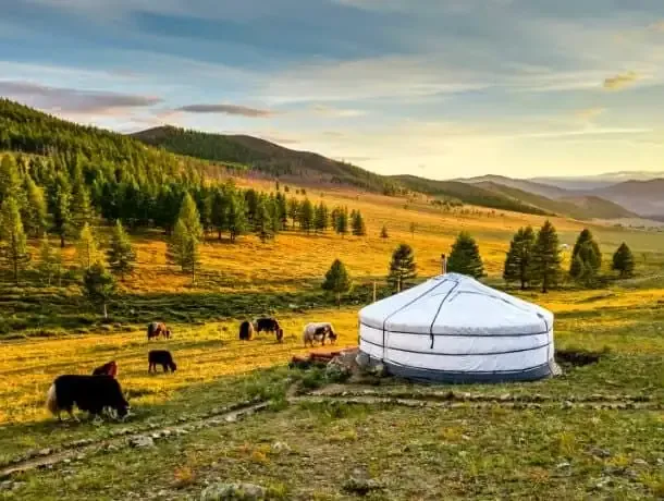 Voyage en Mongolie