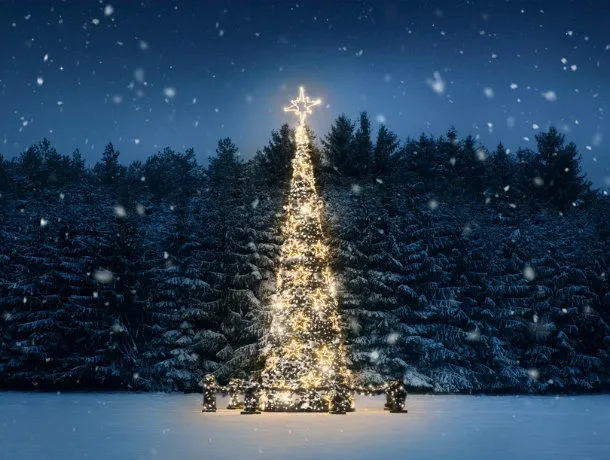 sapin_noel.