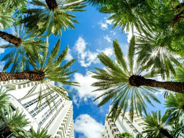 usa_miami