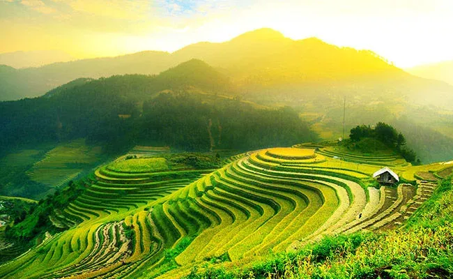 Le Vietnam