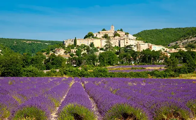 semaine_france