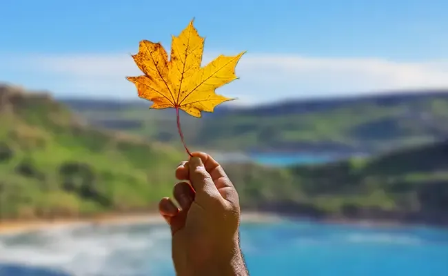 Où partir en Octobre