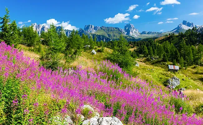 Location en France