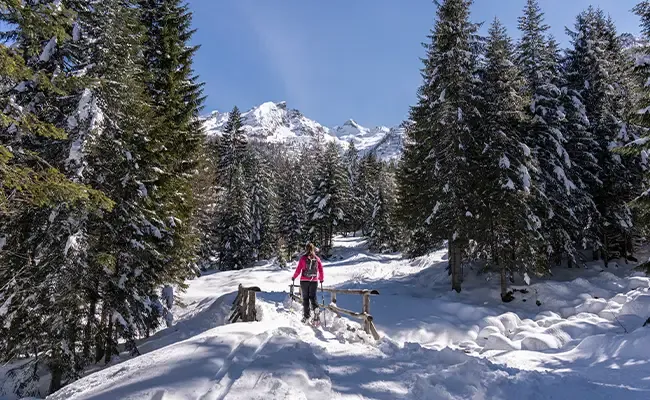 Ski_pm_push_raquette